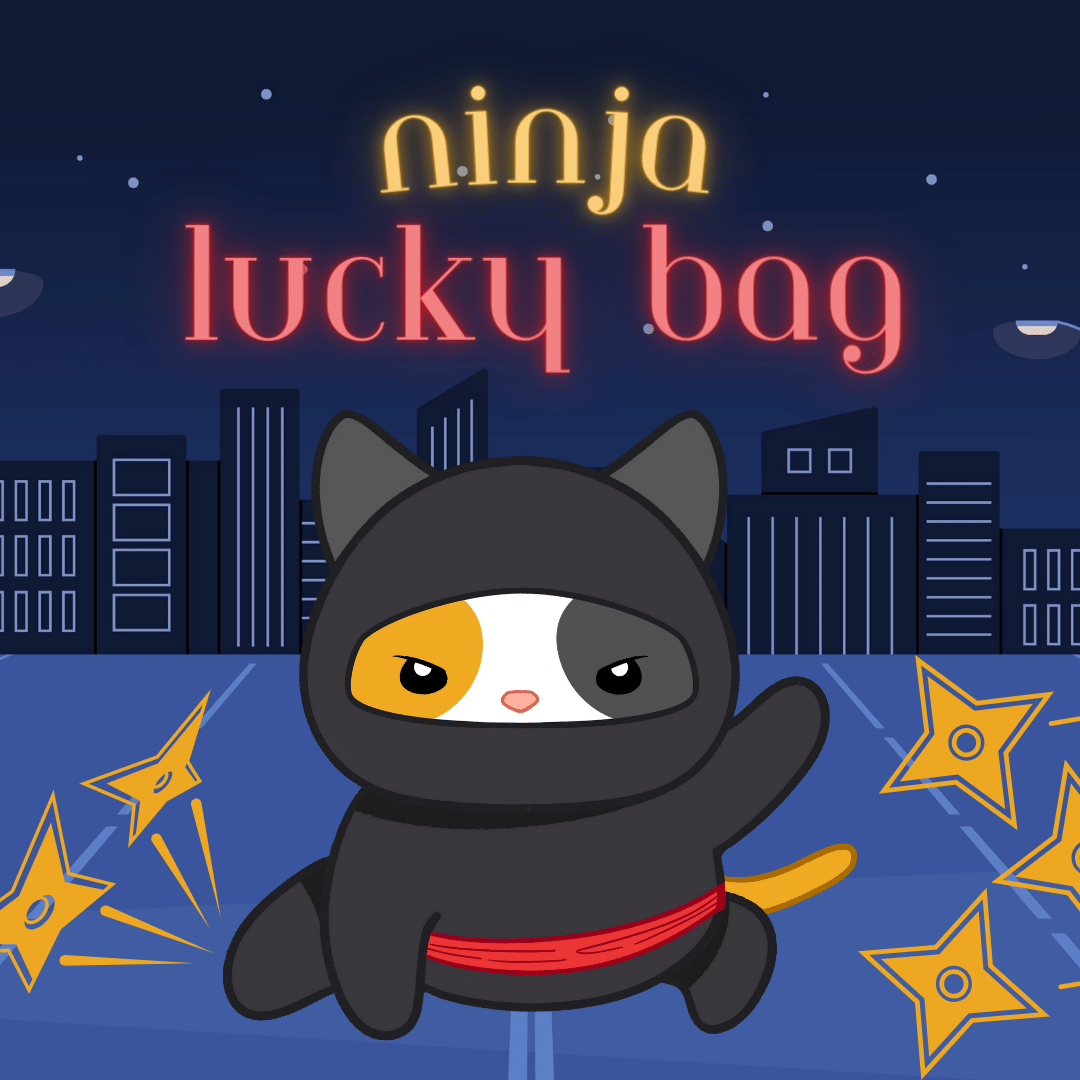 NINJA LUCKY BAG