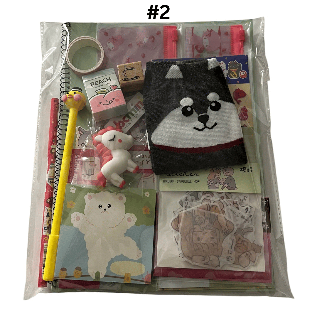 KAWAII STATIONERY LUCKY BAG | KAWAII GIFTS