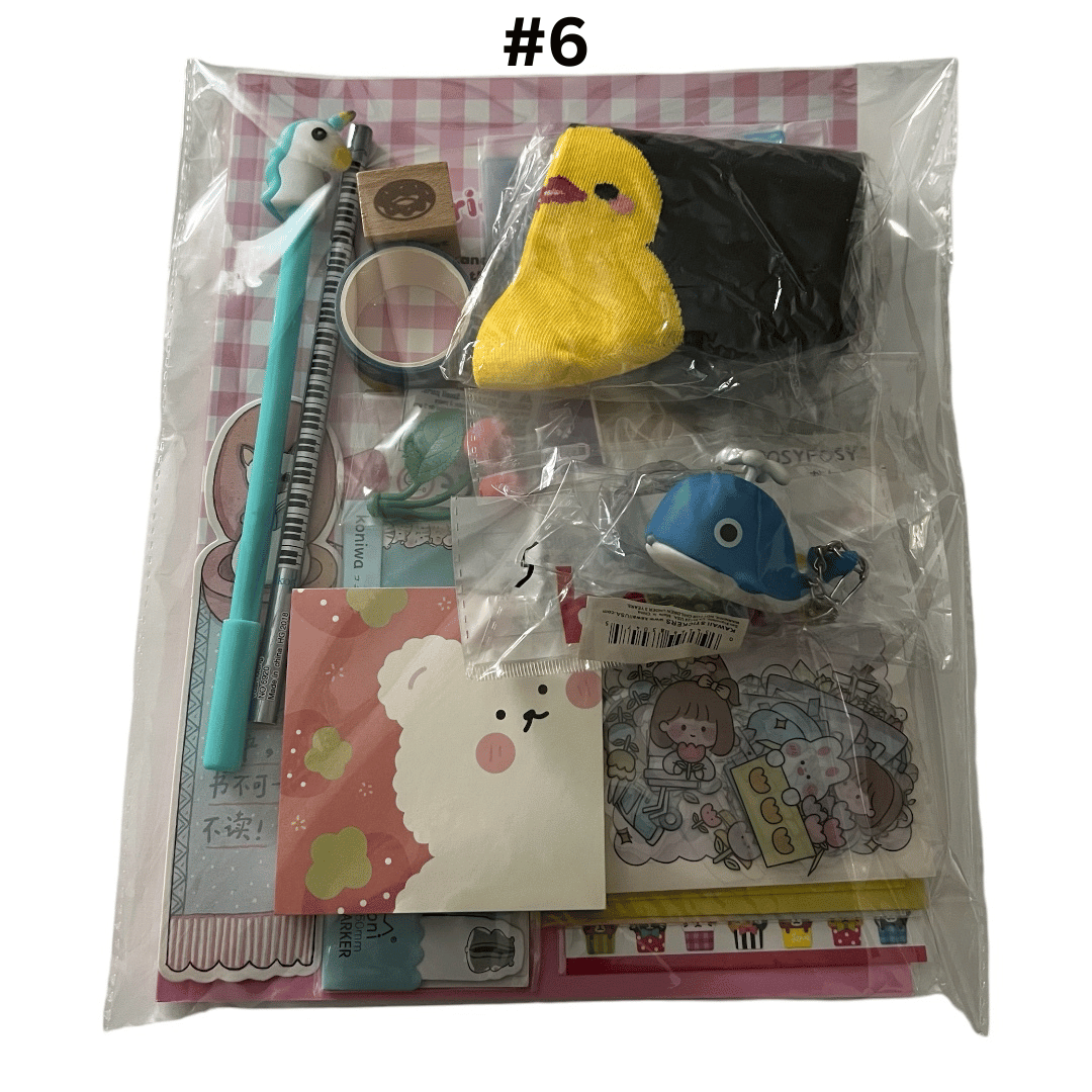 KAWAII STATIONERY LUCKY BAG | KAWAII GIFTS