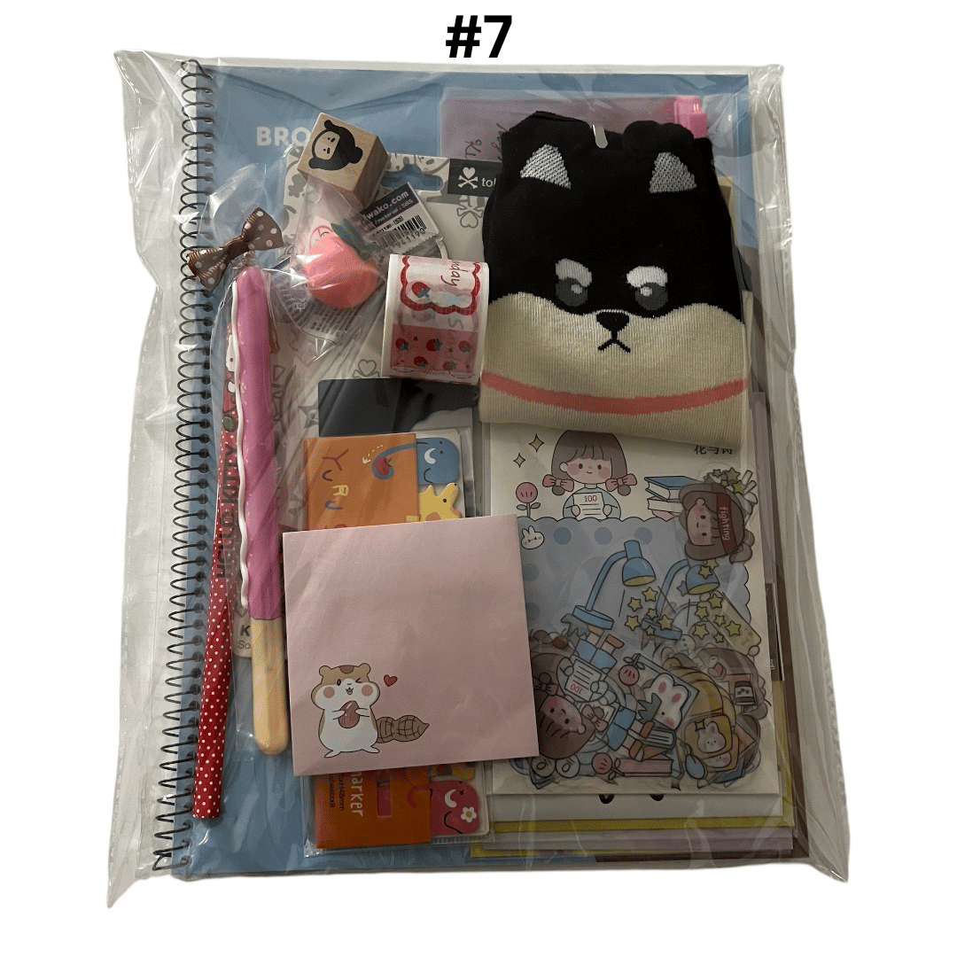 KAWAII STATIONERY LUCKY BAG | KAWAII GIFTS